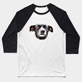 Chihuahua Baseball T-Shirt